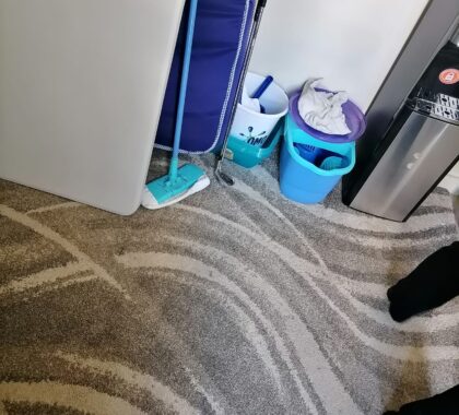 Carpet and Couch Cleaning Services in Kenya – Fribon Cleaning