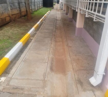 Institutional Cleaning Services in Kenya – Fribon Cleaning