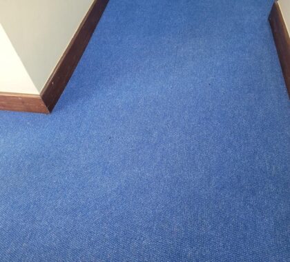 Carpet and Couch Cleaning Services in Kenya – Fribon Cleaning