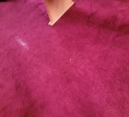 Carpet and Couch Cleaning Services in Kenya – Fribon Cleaning